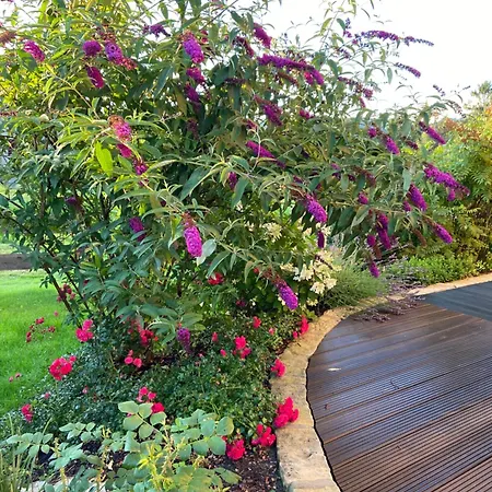 Waltersdorf - Pool & Wellness * باد سشاندو